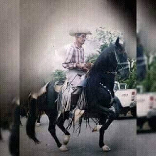 Emilio Bravo Serrano
