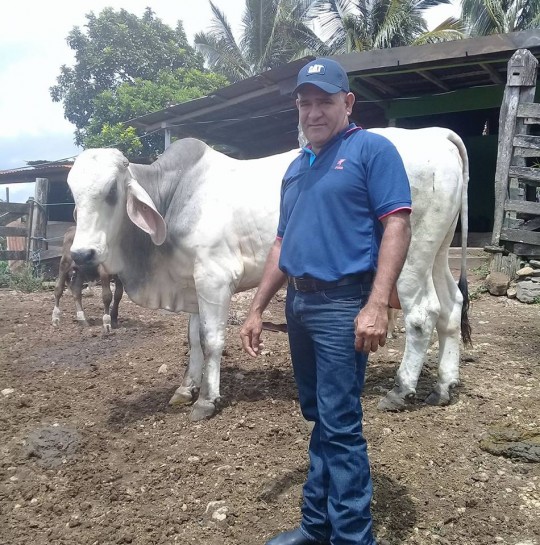 Norman Aquiles Bravo Ortega